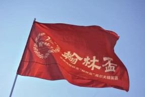 ayx-包含淘汰赛巅峰对决!南城火狐队火力全开泰山青龙队,柔道赛场再起波澜;全面提速抢占先机的词条